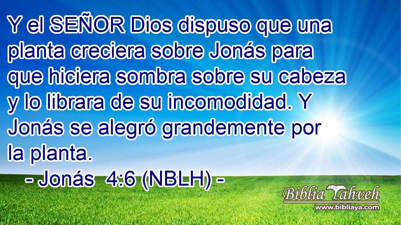  Y el SEÑOR Dios dispuso que una planta creciera sobre Jonás para que hiciera sombra sobre su cabeza y lo librara de su incomodidad. Y Jonás se alegró grandemente por la planta. 