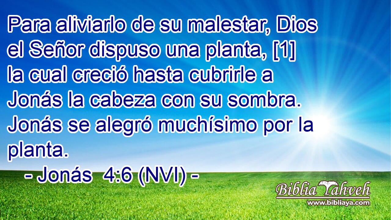  Para aliviarlo de su malestar, Dios el Señor dispuso una planta, [1] la cual creció hasta cubrirle a Jonás la cabeza con su sombra. Jonás se alegró muchísimo por la planta. 