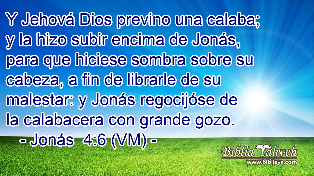  Y Jehová Dios previno una calaba; y la hizo subir encima de Jonás, para que hiciese sombra sobre su cabeza, a fin de librarle de su malestar: y Jonás regocijóse de la calabacera con grande gozo. 