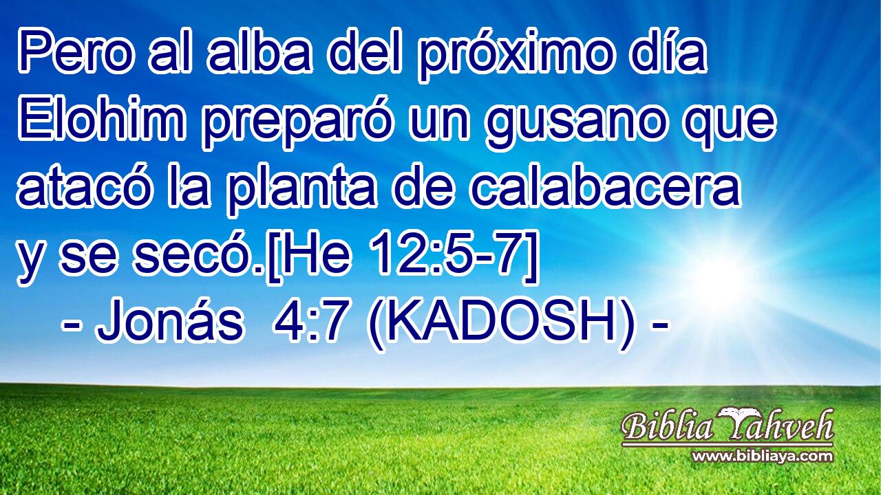  Pero al alba del próximo día Elohim preparó un gusano que atacó la planta de calabacera y se secó.[He 12:5-7] 
