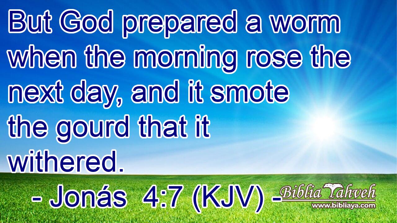 But God prepared a worm when the morning rose the next day, and it smote the gourd that it withered.
