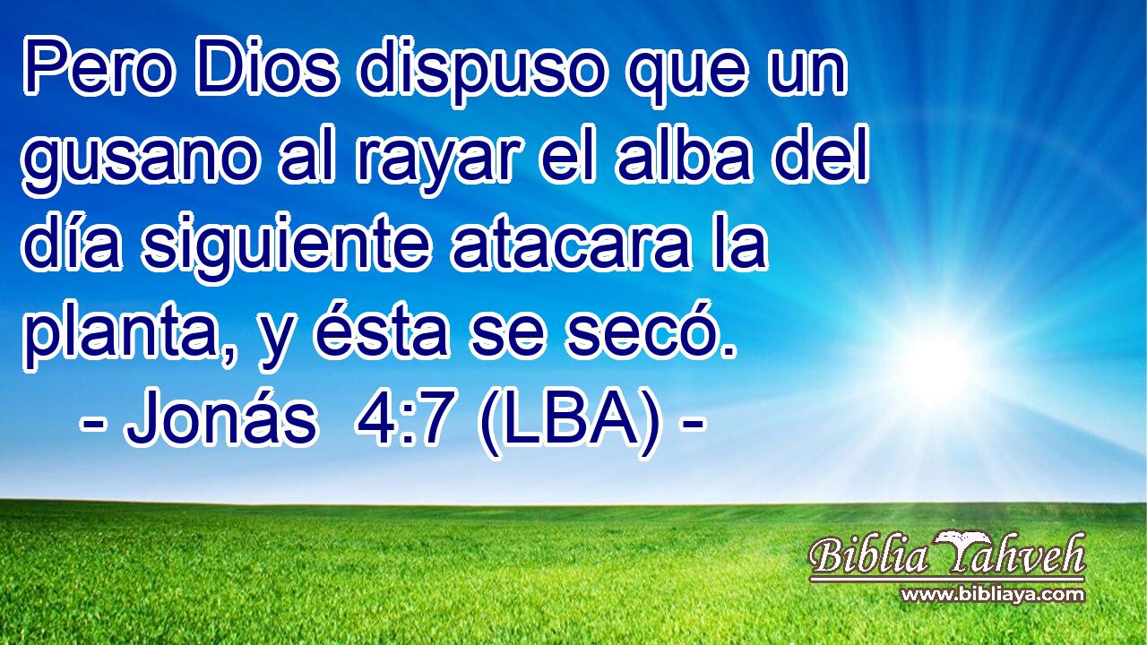 Pero Dios dispuso que un gusano al rayar el alba del día siguiente atacara la planta, y ésta se secó.
