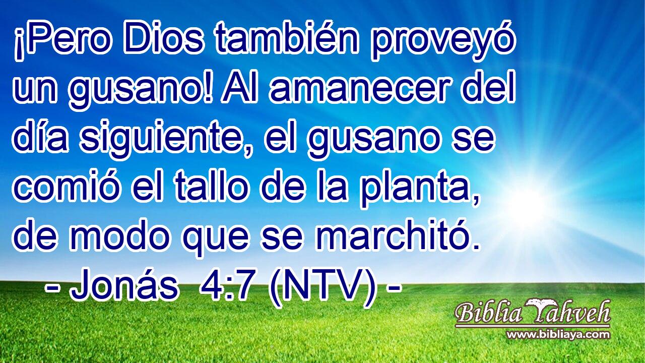 ¡Pero Dios también proveyó un gusano! Al amanecer del día siguiente, el gusano se comió el tallo de la planta, de modo que se marchitó.
