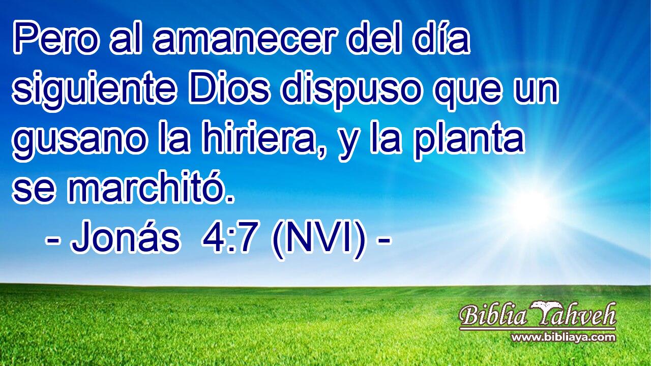  Pero al amanecer del día siguiente Dios dispuso que un gusano la hiriera, y la planta se marchitó. 