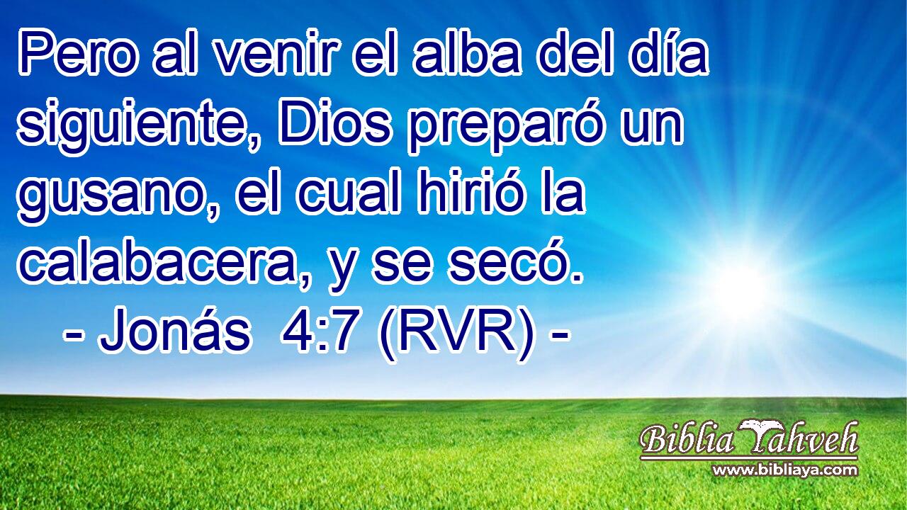 Pero al venir el alba del día siguiente, Dios preparó un gusano, el cual hirió la calabacera, y se secó.