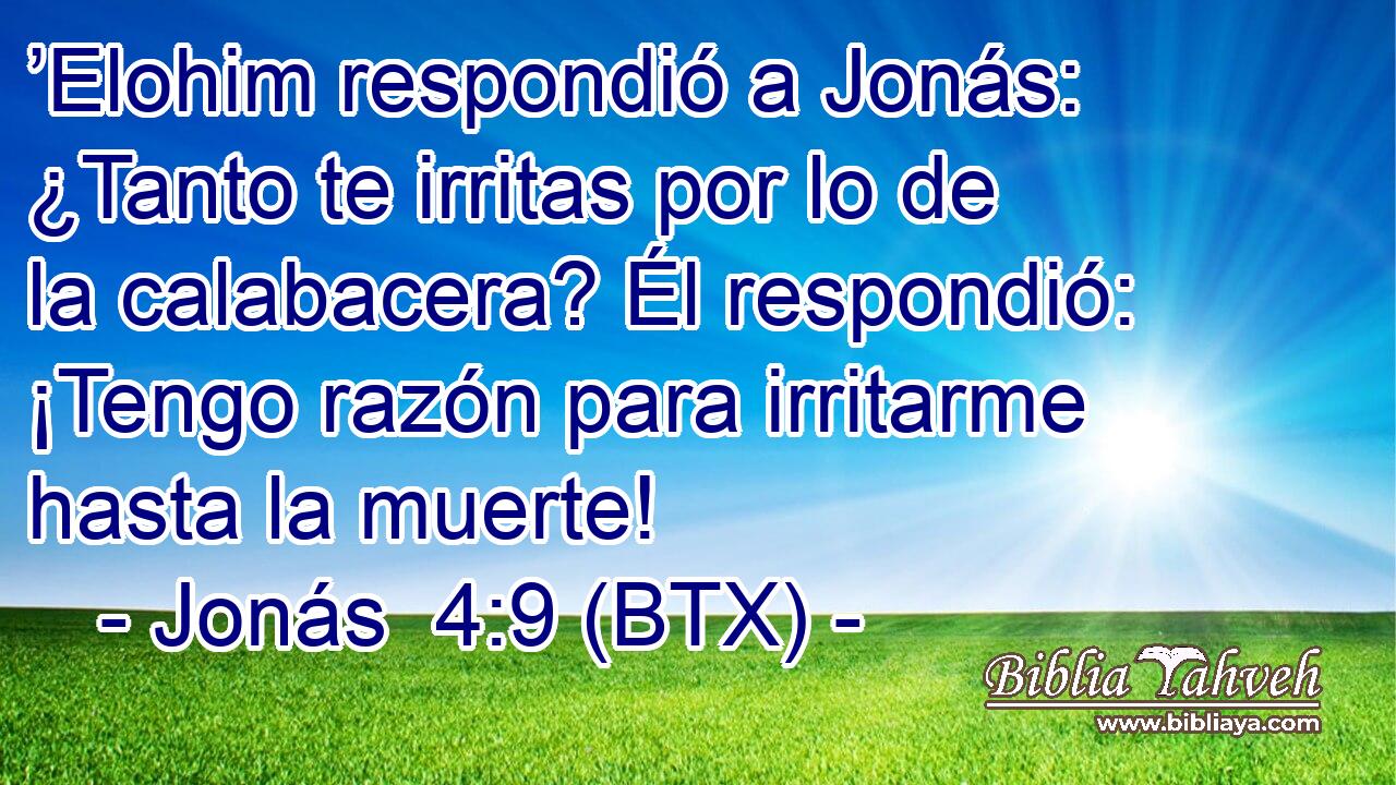 ’Elohim respondió a Jonás: ¿Tanto te irritas por lo de la calabacera? Él respondió: ¡Tengo razón para irritarme hasta la muerte!