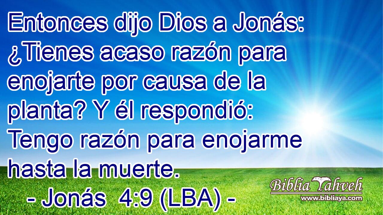 Entonces dijo Dios a Jonás: ¿Tienes acaso razón para enojarte por causa de la planta? Y él respondió: Tengo razón para enojarme hasta la muerte.