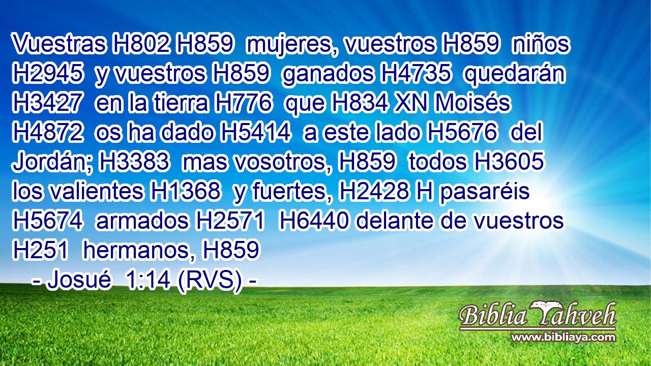 Vuestras H802 H859  mujeres, vuestros H859  niños H2945  y vuestros H859  ganados H4735  quedarán H3427  en la tierra H776  que H834 XN Moisés H4872  os ha dado H5414  a este lado H5676  del Jordán; H3383  mas vosotros, H859  todos H3605  los valientes H1368  y fuertes, H2428 H pasaréis H5674  armados H2571  H6440 delante de vuestros H251  hermanos, H859 