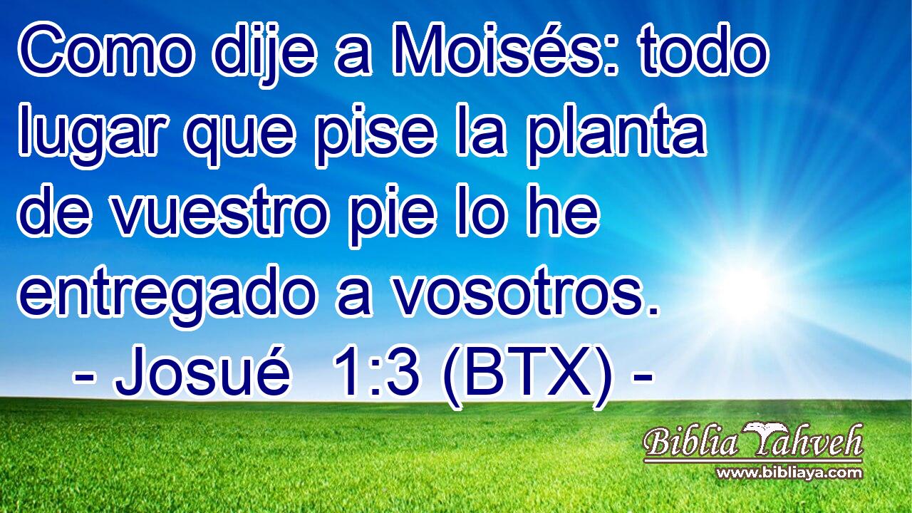 Como dije a Moisés: todo lugar que pise la planta de vuestro pie lo he entregado a vosotros.