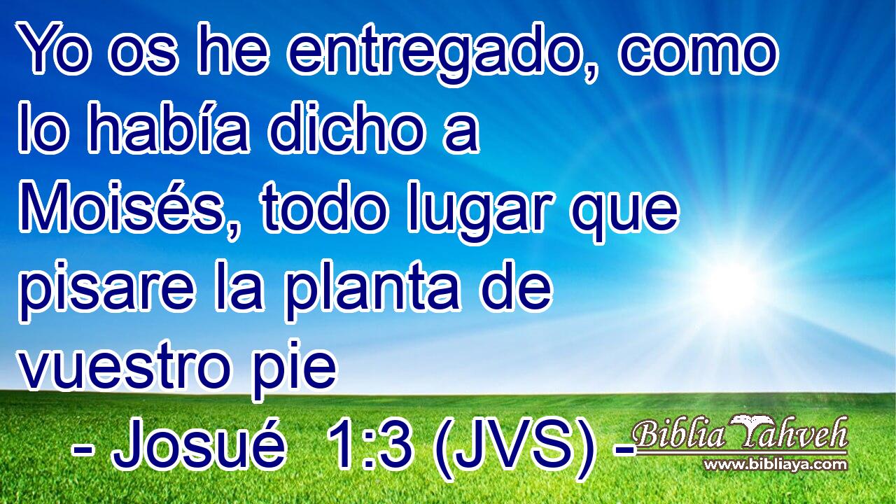 Yo os he entregado, como lo había dicho a Moisés, todo lugar que pisare la planta de vuestro pie