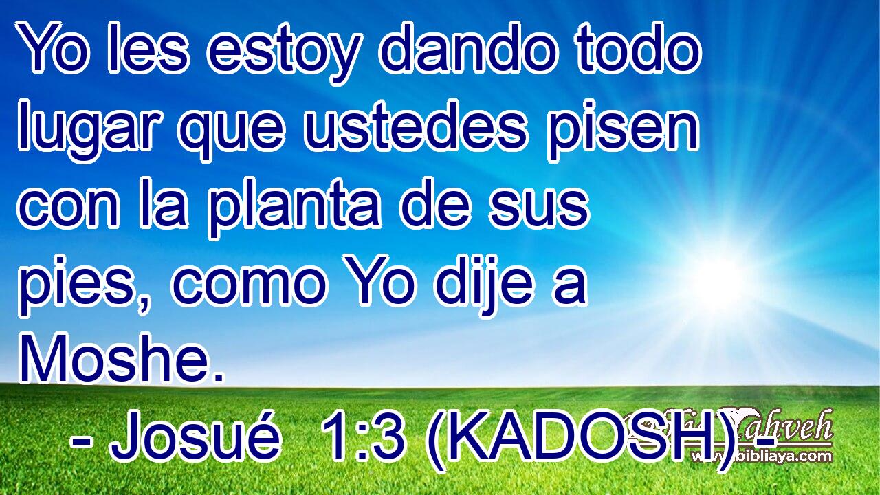  Yo les estoy dando todo lugar que ustedes pisen con la planta de sus pies, como Yo dije a Moshe. 