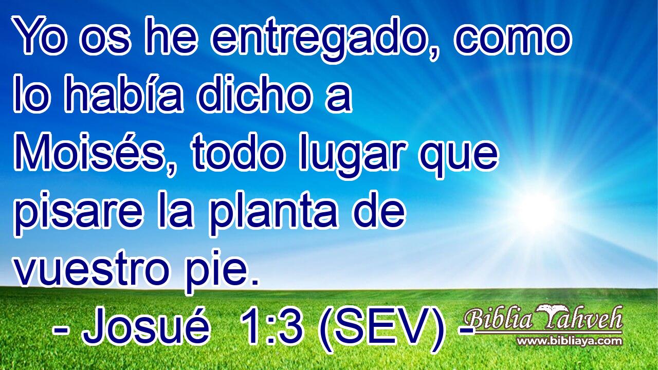 Yo os he entregado, como lo había dicho a Moisés, todo lugar que pisare la planta de vuestro pie.