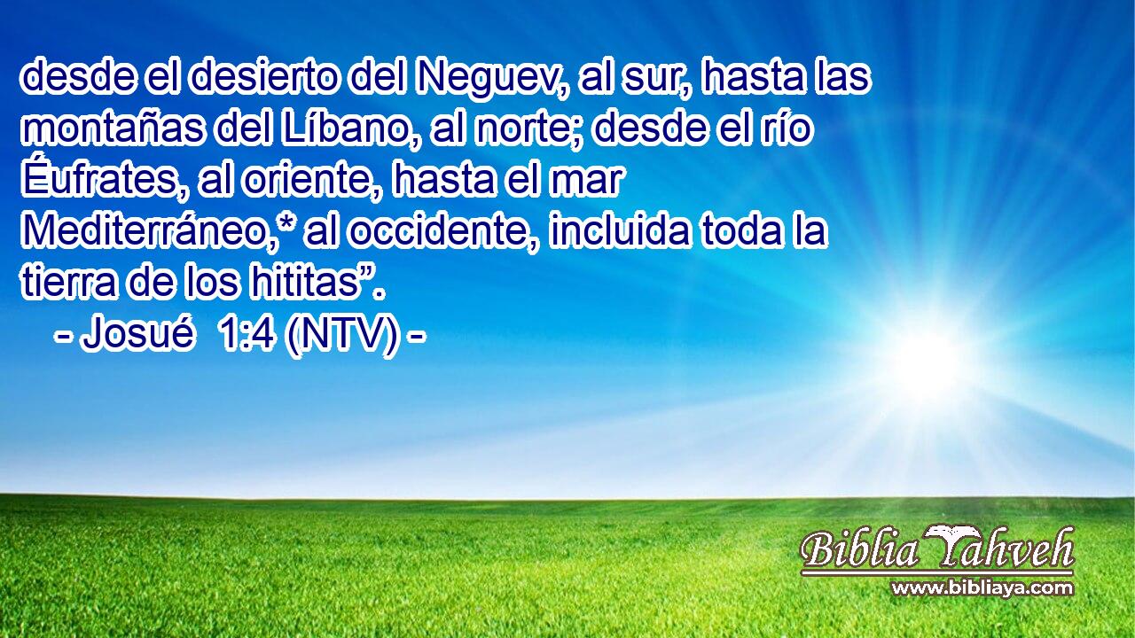 desde el desierto del Neguev, al sur, hasta las montañas del Líbano, al norte; desde el río Éufrates, al oriente, hasta el mar Mediterráneo,* al occidente, incluida toda la tierra de los hititas”.