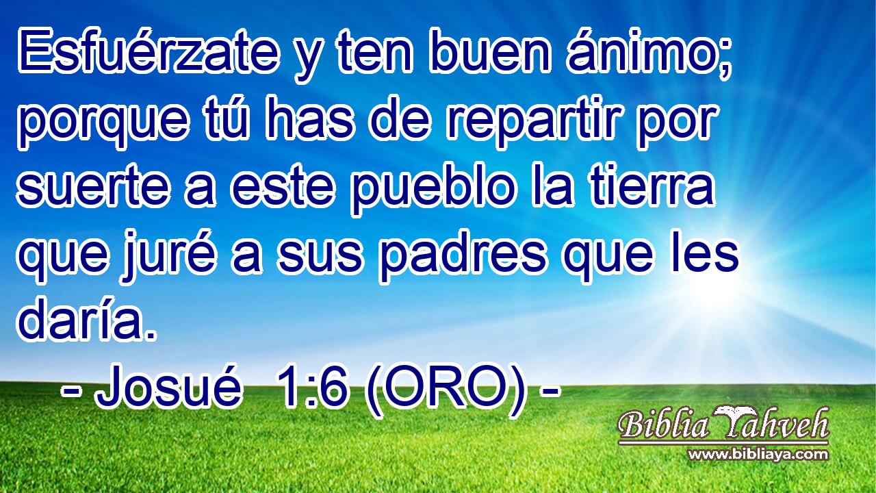  Esfuérzate y ten buen ánimo; porque tú has de repartir por suerte a este pueblo la tierra que juré a sus padres que les daría. 
