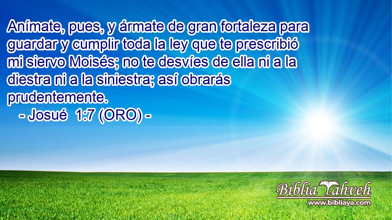  Anímate, pues, y ármate de gran fortaleza para guardar y cumplir toda la ley que te prescribió mi siervo Moisés; no te desvíes de ella ni a la diestra ni a la siniestra; así obrarás prudentemente. 