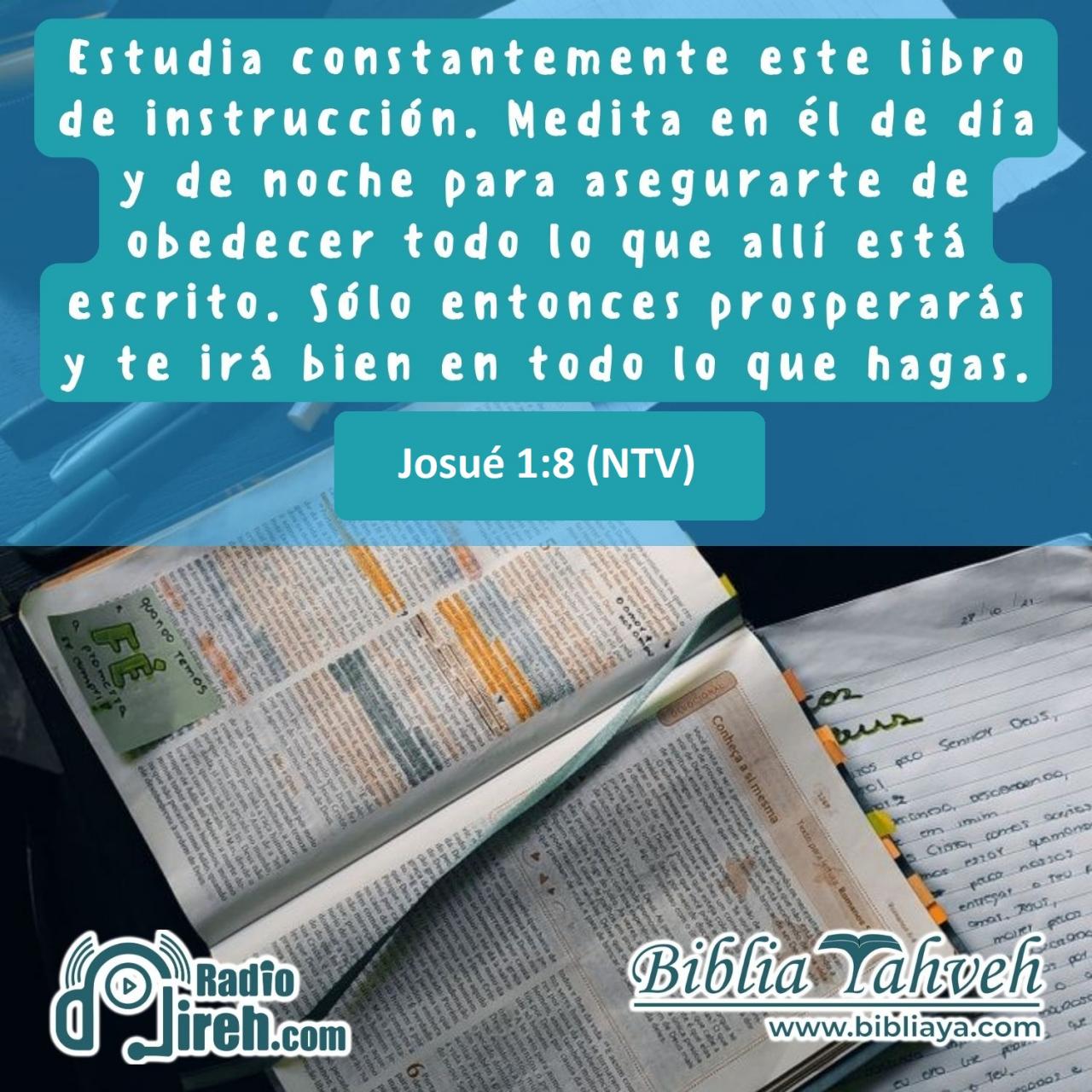 Estudia constantemente este libro de instrucción. Medita en él de día y de noche para asegurarte de obedecer todo lo que allí está escrito. Sólo entonces prosperarás y te irá bien en todo lo que hagas.