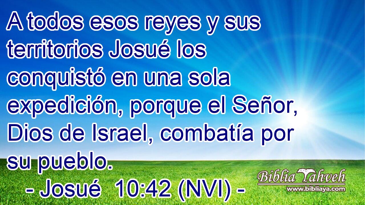  A todos esos reyes y sus territorios Josué los conquistó en una sola expedición, porque el Señor, Dios de Israel, combatía por su pueblo. 