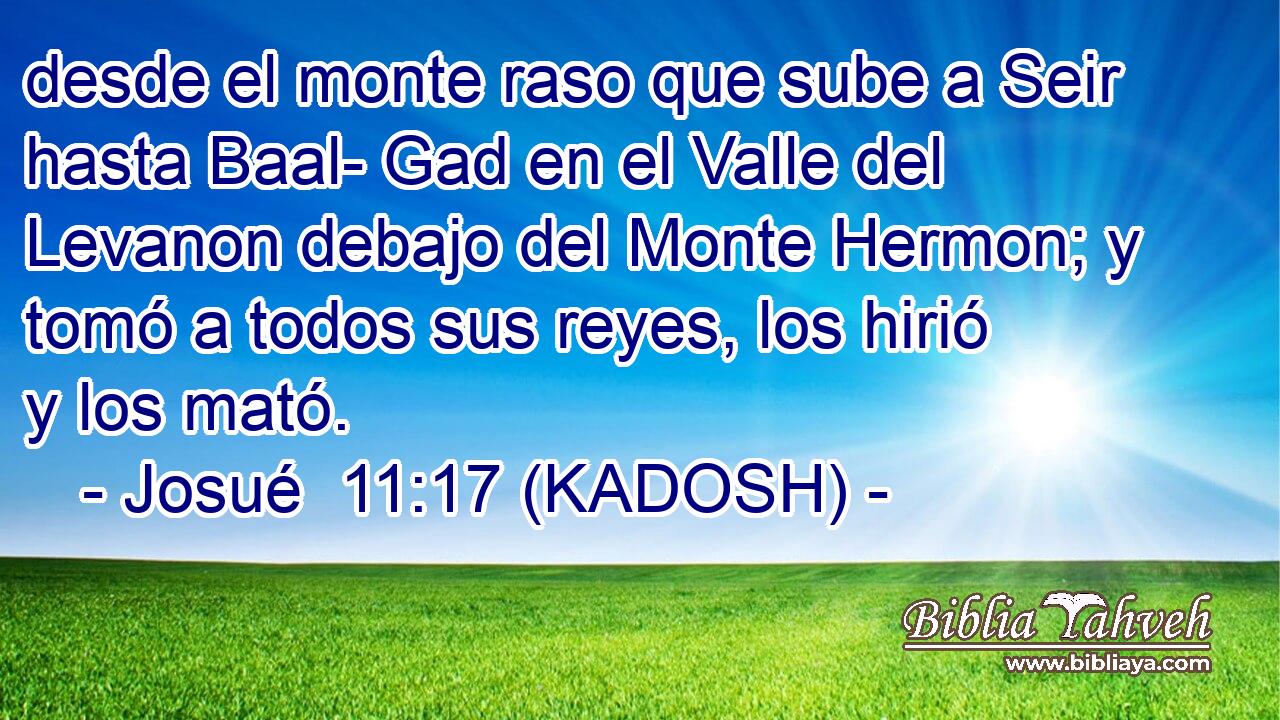  desde el monte raso que sube a Seir hasta Baal- Gad en el Valle del Levanon debajo del Monte Hermon; y tomó a todos sus reyes, los hirió y los mató. 