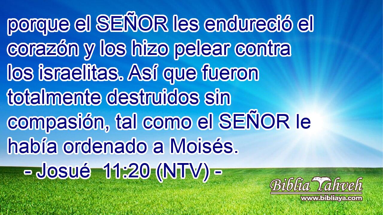 porque el SEÑOR les endureció el corazón y los hizo pelear contra los israelitas. Así que fueron totalmente destruidos sin compasión, tal como el SEÑOR le había ordenado a Moisés.