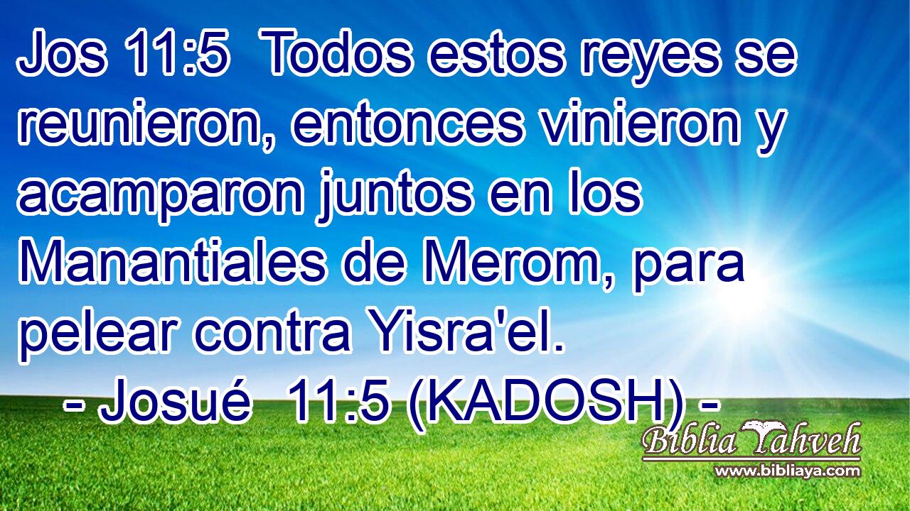  Todos estos reyes se reunieron, entonces vinieron y acamparon juntos en los Manantiales de Merom, para pelear contra Yisra'el. 