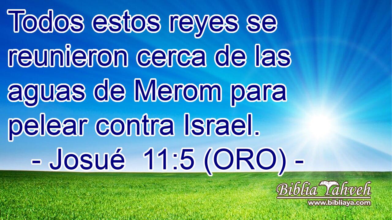  Todos estos reyes se reunieron cerca de las aguas de Merom para pelear contra Israel. 