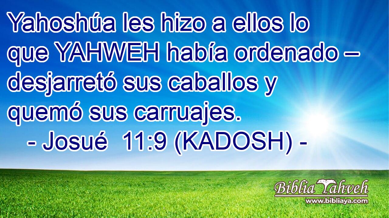  Yahoshúa les hizo a ellos lo que YAHWEH había ordenado – desjarretó sus caballos y quemó sus carruajes. 