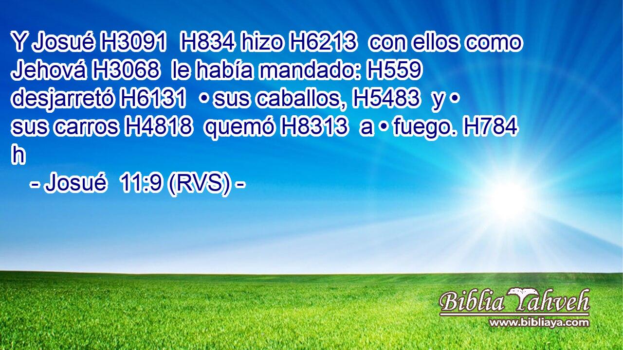Y Josué H3091  H834 hizo H6213  con ellos como Jehová H3068  le había mandado: H559  desjarretó H6131  • sus caballos, H5483  y • sus carros H4818  quemó H8313  a • fuego. H784 h 