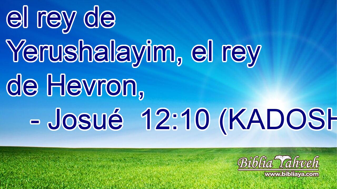  el rey de Yerushalayim, el rey de Hevron, 