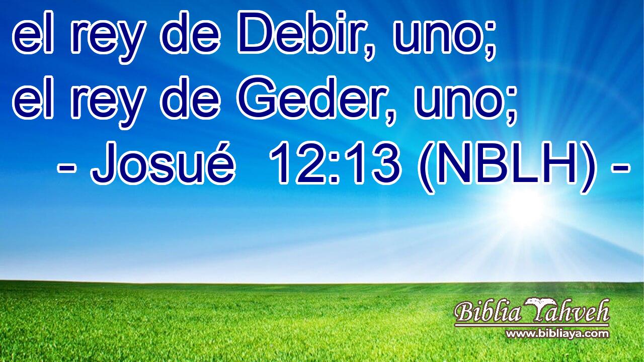  el rey de Debir, uno; el rey de Geder, uno; 
