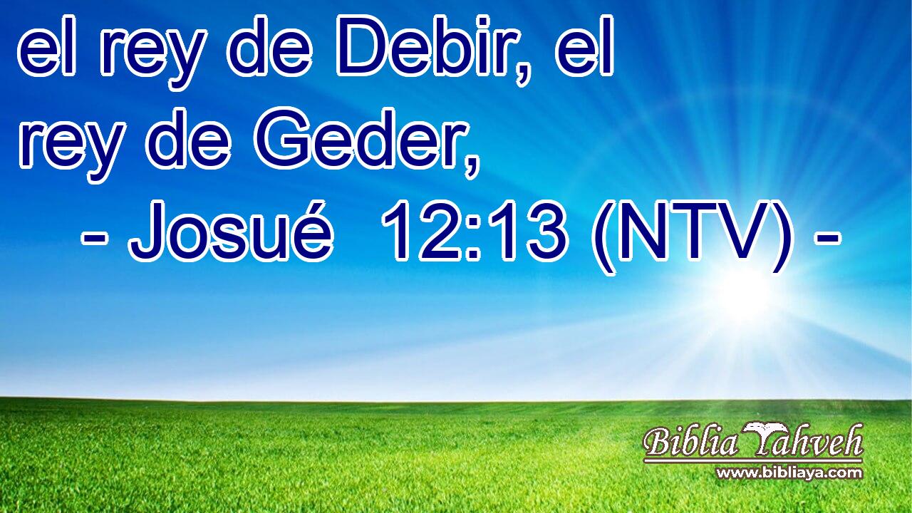 el rey de Debir, el rey de Geder,