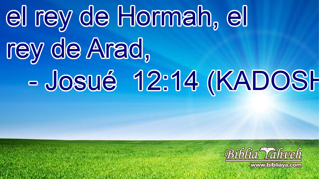  el rey de Hormah, el rey de Arad, 