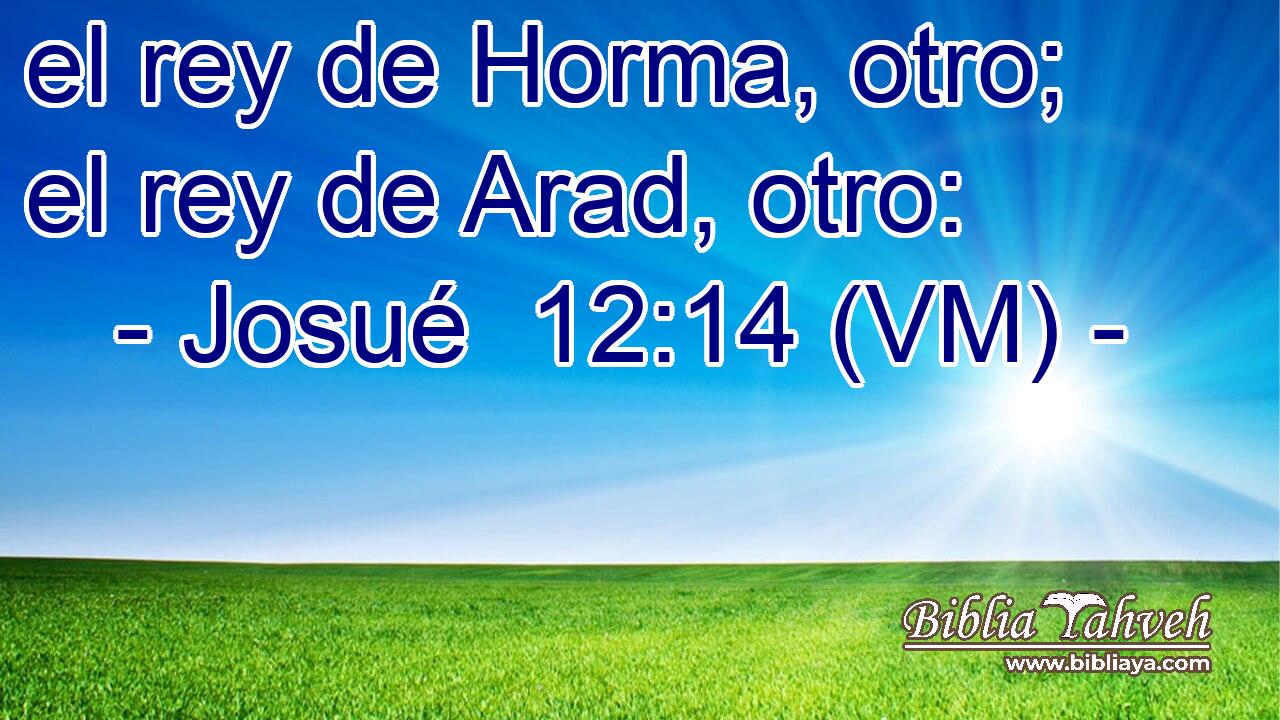  el rey de Horma, otro; el rey de Arad, otro: 