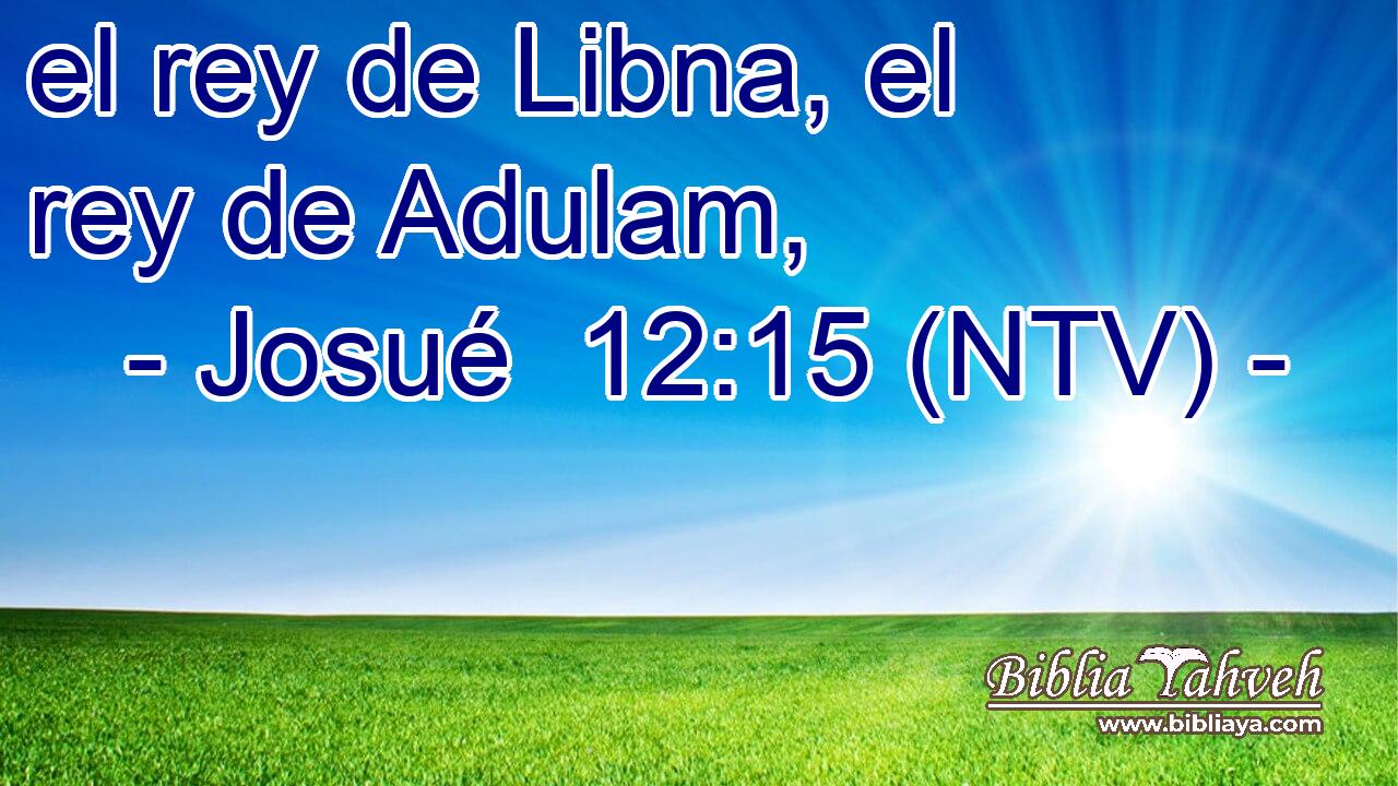 el rey de Libna, el rey de Adulam,