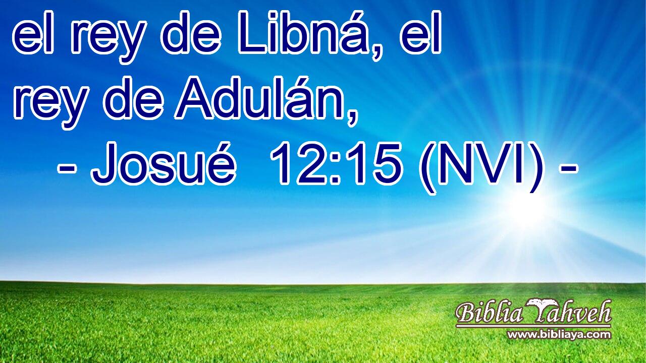  el rey de Libná, el rey de Adulán, 