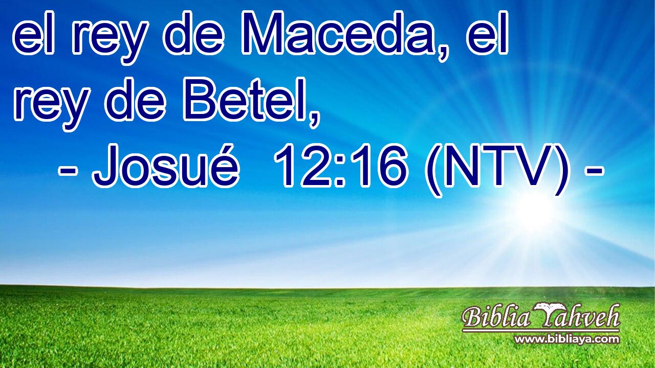 el rey de Maceda, el rey de Betel,