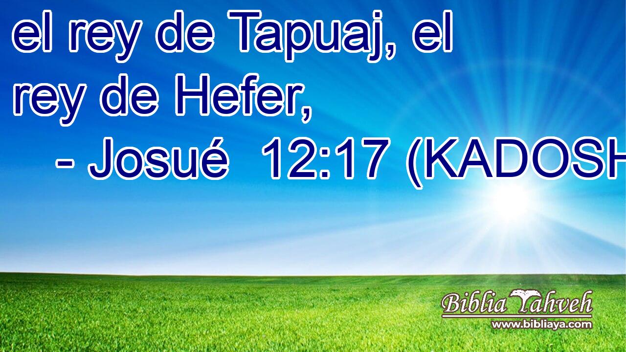 el rey de Tapuaj, el rey de Hefer, 