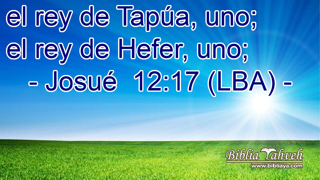 el rey de Tapúa, uno; el rey de Hefer, uno;