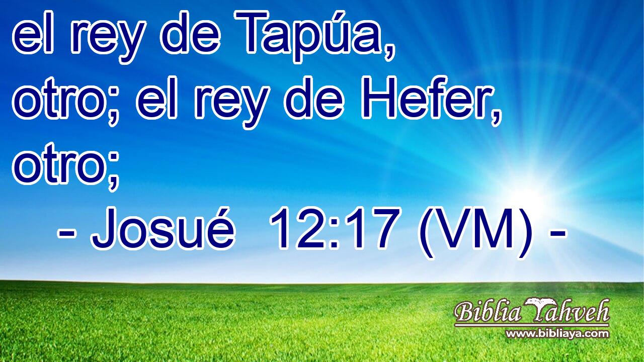  el rey de Tapúa, otro; el rey de Hefer, otro; 