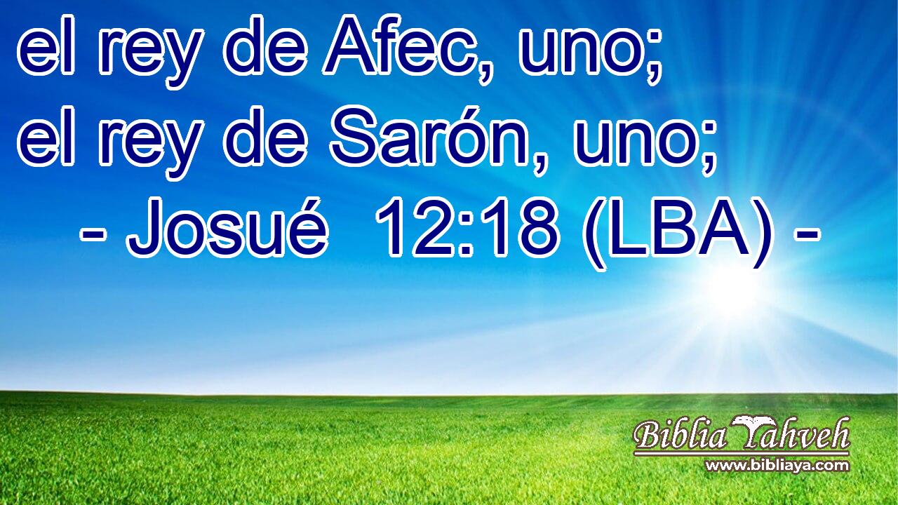 el rey de Afec, uno; el rey de Sarón, uno;