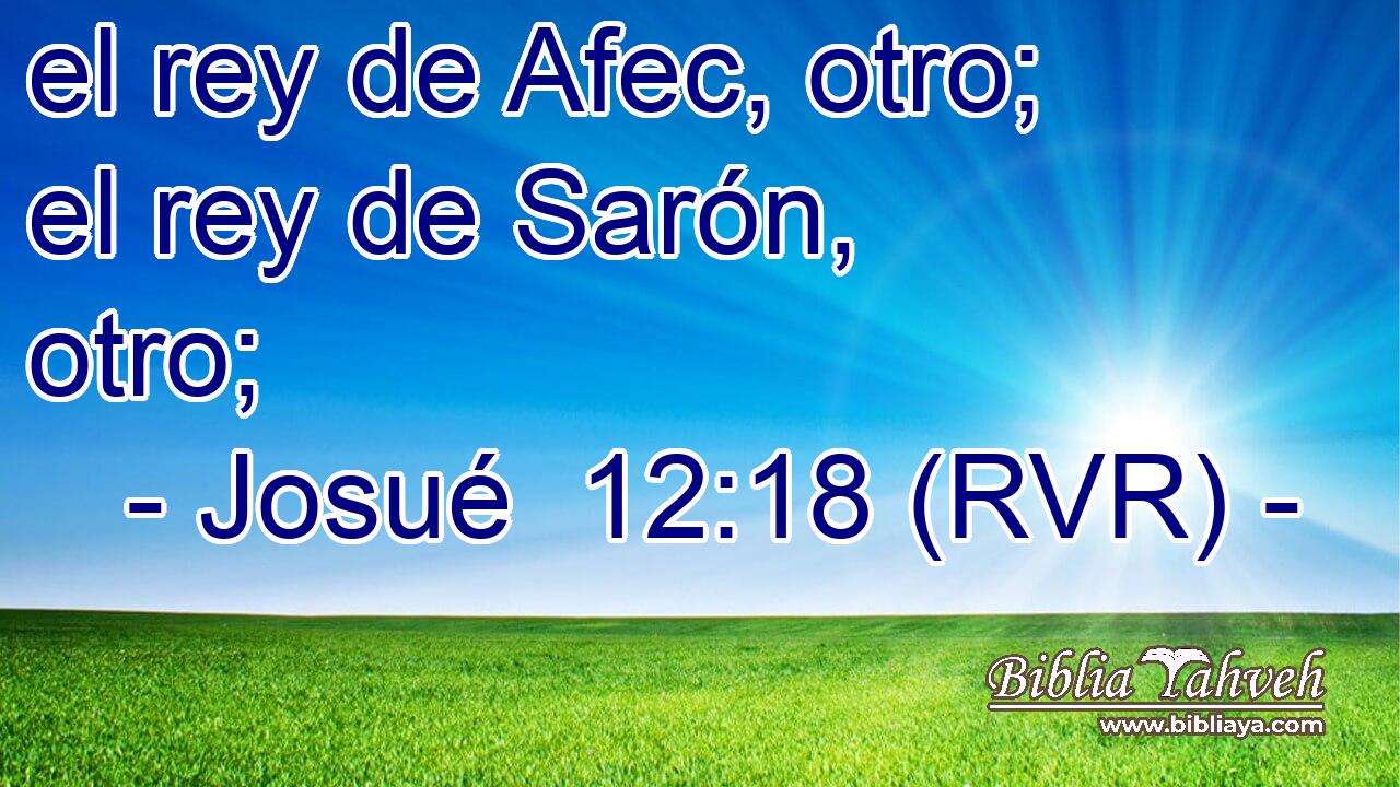 el rey de Afec, otro; el rey de Sarón, otro;