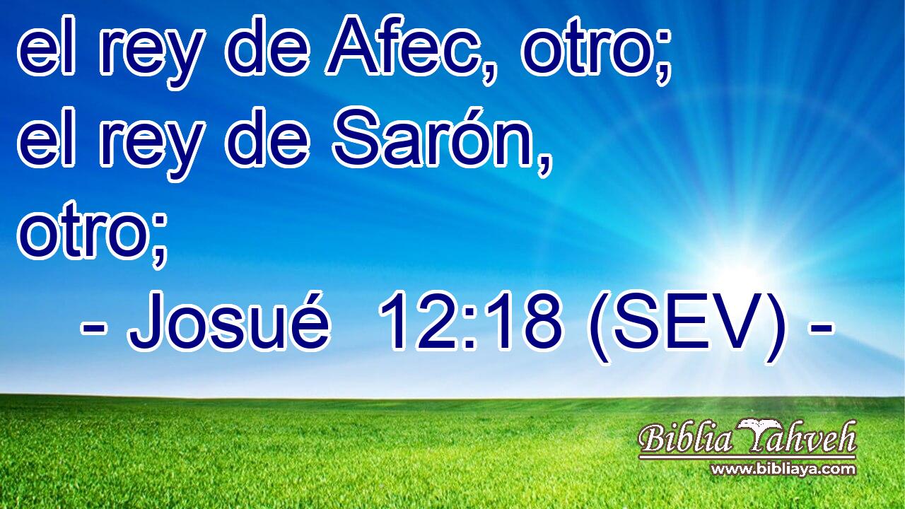 el rey de Afec, otro; el rey de Sarón, otro;