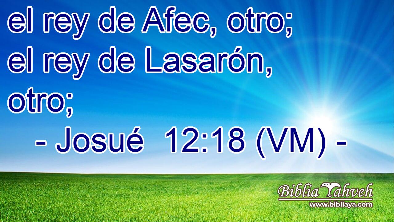  el rey de Afec, otro; el rey de Lasarón, otro; 