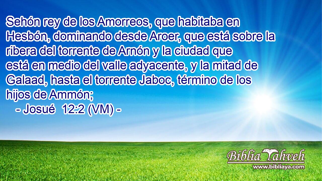  Sehón rey de los Amorreos, que habitaba en Hesbón, dominando desde Aroer, que está sobre la ribera del torrente de Arnón y la ciudad que está en medio del valle adyacente, y la mitad de Galaad, hasta el torrente Jaboc, término de los hijos de Ammón; 