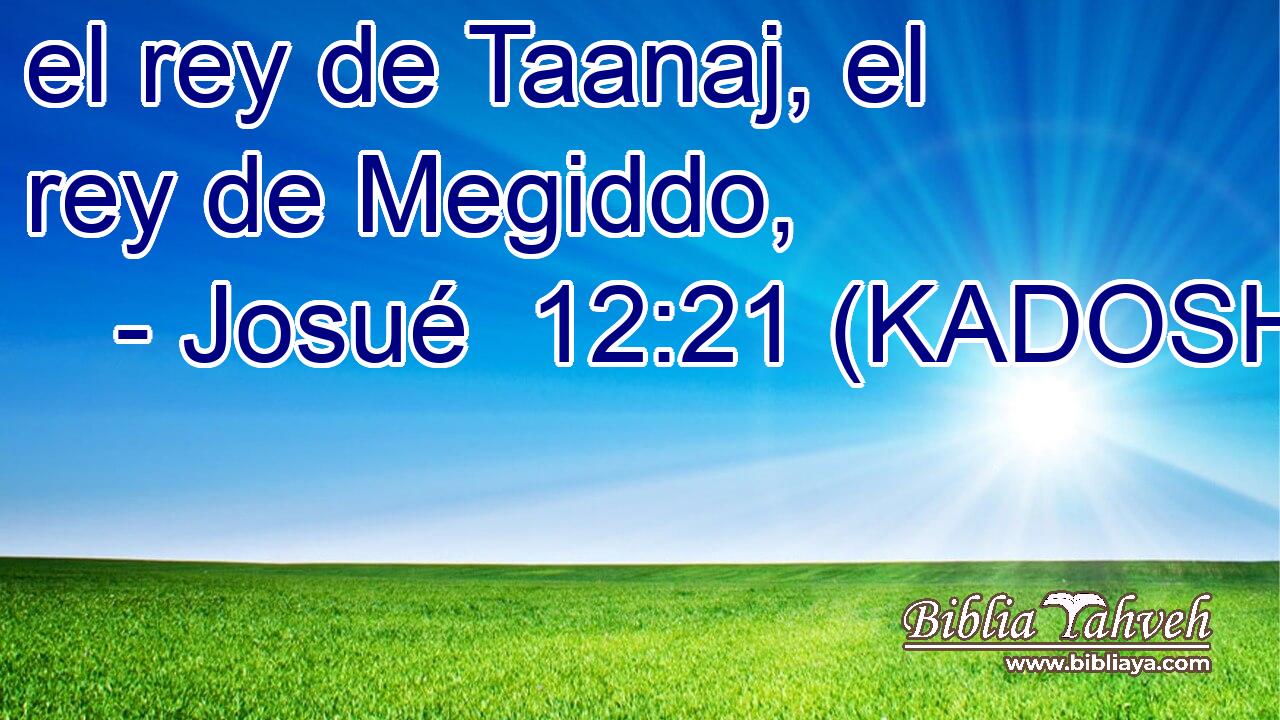  el rey de Taanaj, el rey de Megiddo, 