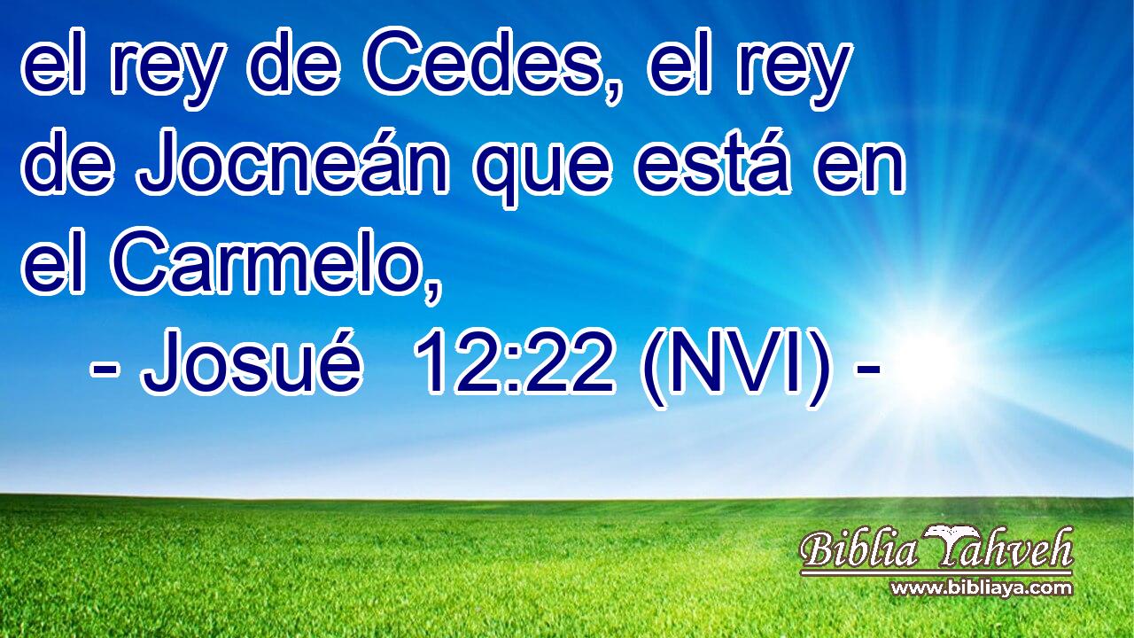  el rey de Cedes, el rey de Jocneán que está en el Carmelo, 