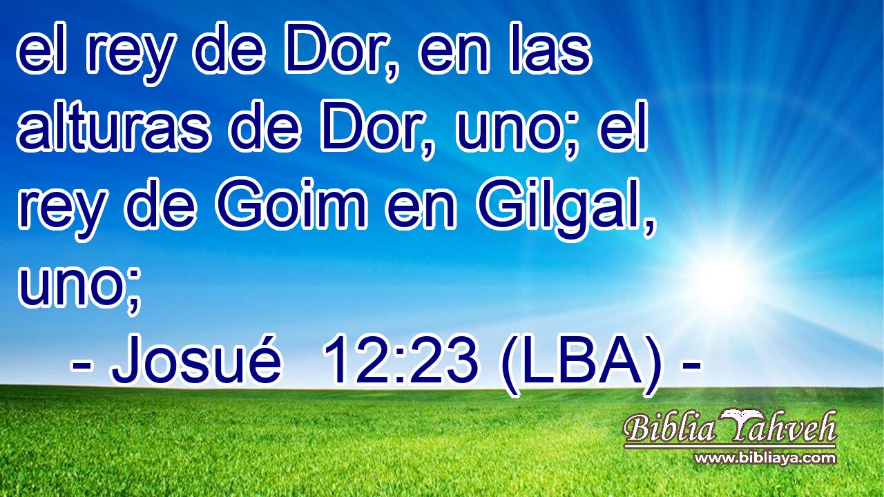 el rey de Dor, en las alturas de Dor, uno; el rey de Goim en Gilgal, uno;