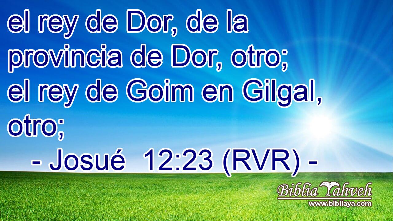 el rey de Dor, de la provincia de Dor, otro; el rey de Goim en Gilgal, otro;