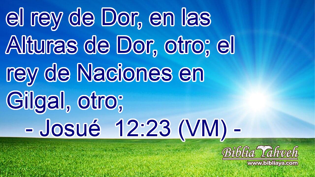  el rey de Dor, en las Alturas de Dor, otro; el rey de Naciones en Gilgal, otro; 