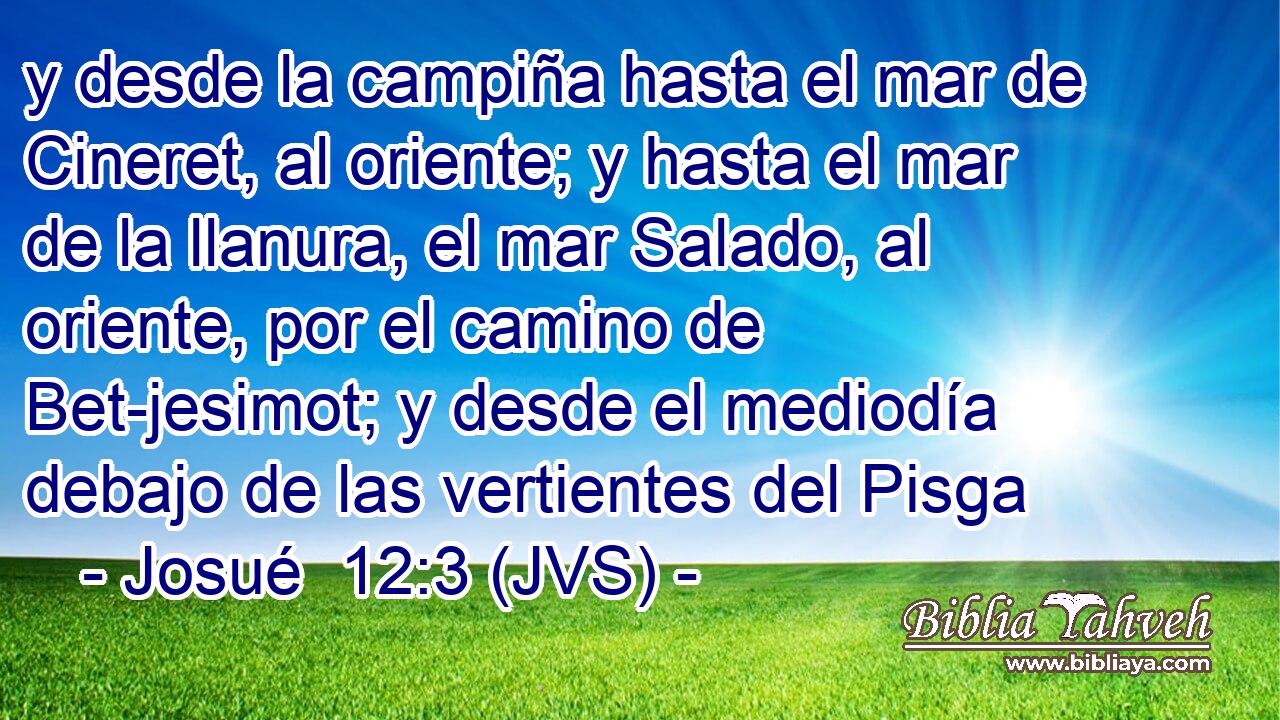 y desde la campiña hasta el mar de Cineret, al oriente; y hasta el mar de la llanura, el mar Salado, al oriente, por el camino de Bet-jesimot; y desde el mediodía debajo de las vertientes del Pisga