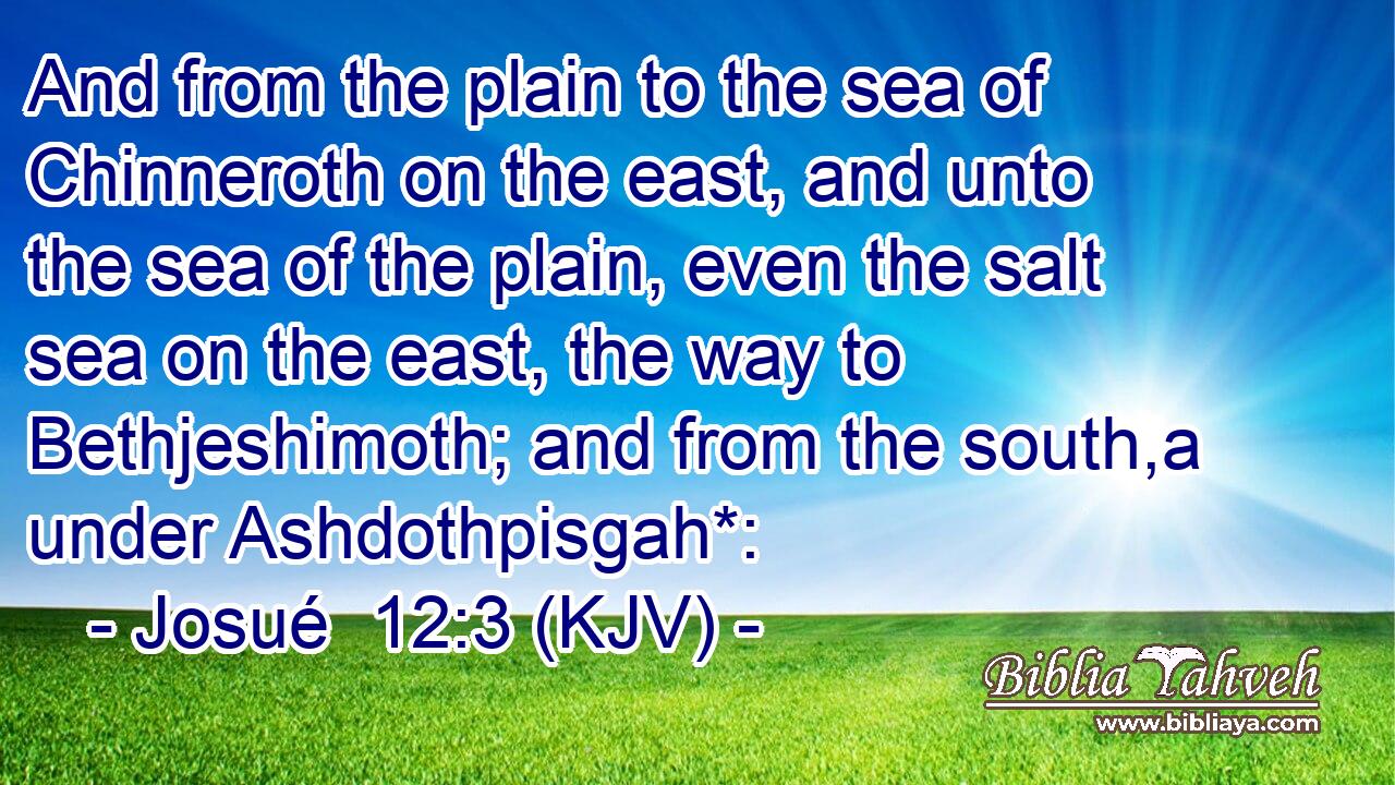 And from the plain to the sea of Chinneroth on the east, and unto the sea of the plain, even the salt sea on the east, the way to Bethjeshimoth; and from the south,a under Ashdothpisgah*: